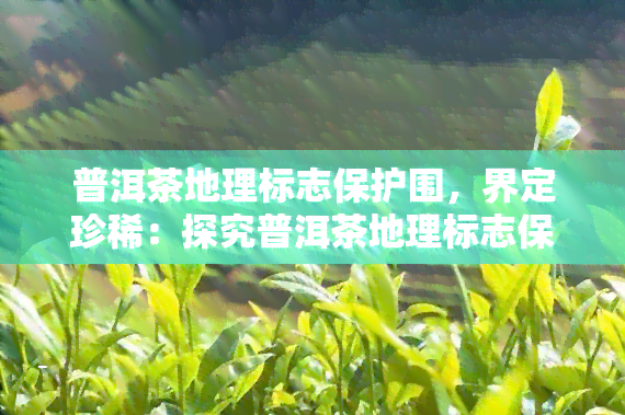 普洱茶地理标志保护围，界定珍稀：探究普洱茶地理标志保护围的意义与价值