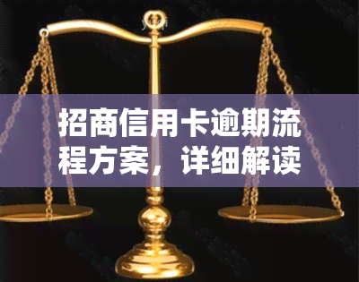 招商信用卡逾期流程方案，详细解读：招商信用卡逾期的处理流程及解决方案