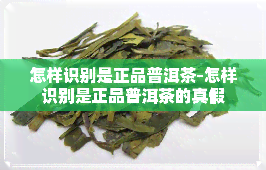 怎样识别是正品普洱茶-怎样识别是正品普洱茶的真假