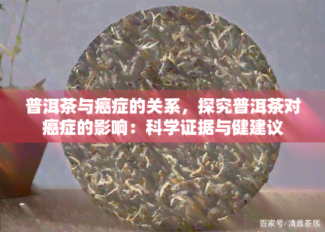 普洱茶与癌症的关系，探究普洱茶对癌症的影响：科学证据与健建议