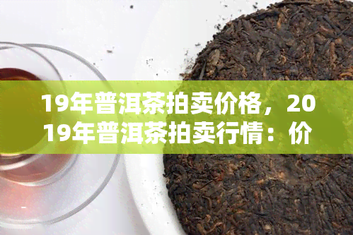 19年普洱茶拍卖价格，2019年普洱茶拍卖行情：价格走势分析与市场观察