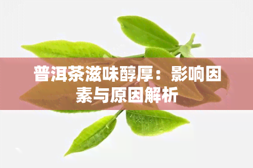 普洱茶滋味醇厚：影响因素与原因解析