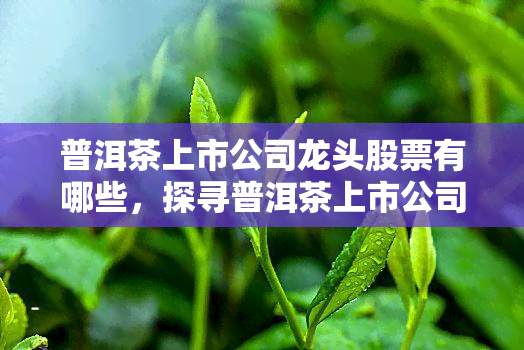 普洱茶上市公司龙头股票有哪些，探寻普洱茶上市公司的龙头股票