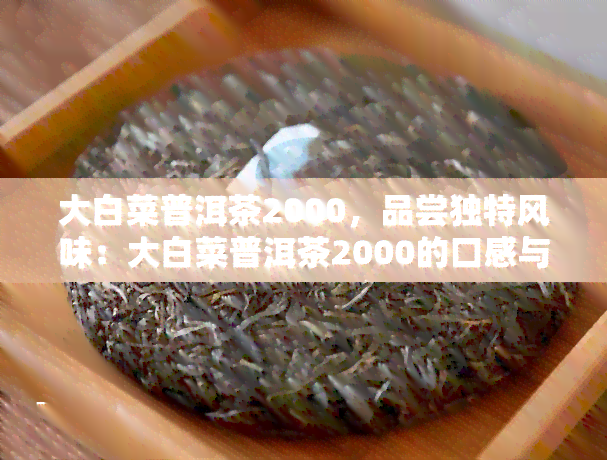 大白菜普洱茶2000，品尝独特风味：大白菜普洱茶2000的口感与历