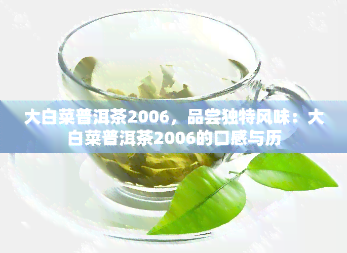 大白菜普洱茶2006，品尝独特风味：大白菜普洱茶2006的口感与历