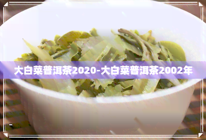 大白菜普洱茶2020-大白菜普洱茶2002年