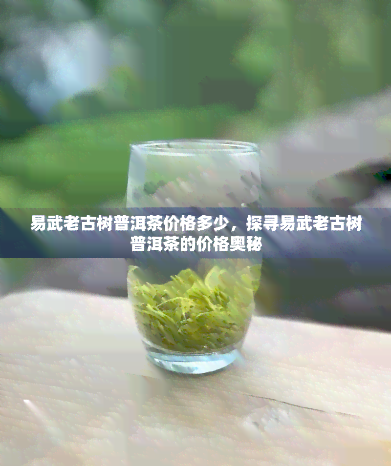 易武老古树普洱茶价格多少，探寻易武老古树普洱茶的价格奥秘