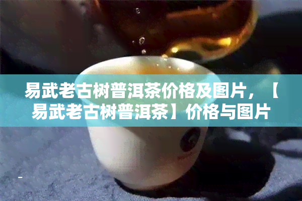 易武老古树普洱茶价格及图片，【易武老古树普洱茶】价格与图片一览