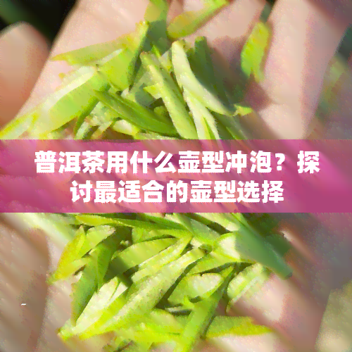 普洱茶用什么壶型冲泡？探讨最适合的壶型选择