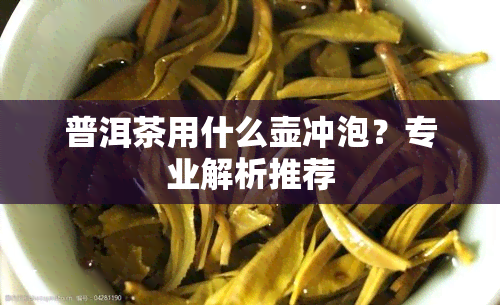 普洱茶用什么壶冲泡？专业解析推荐