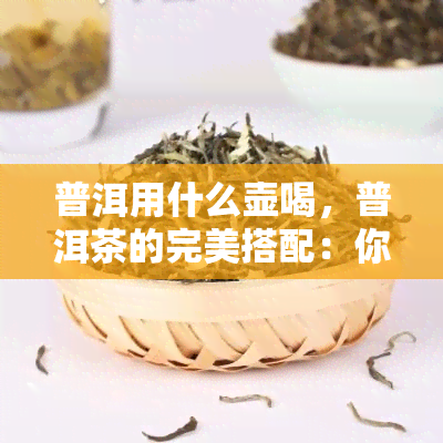 普洱用什么壶喝，普洱茶的完美搭配：你知道应该用哪种壶来泡吗？