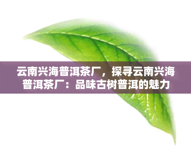 云南兴海普洱茶厂，探寻云南兴海普洱茶厂：品味古树普洱的魅力