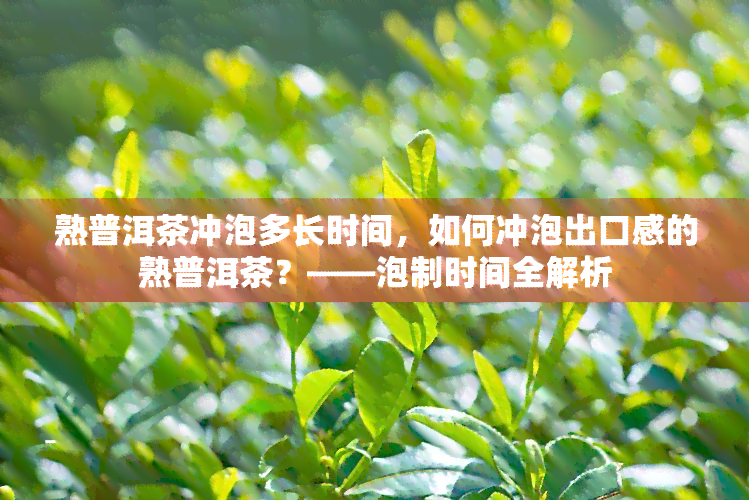 熟普洱茶冲泡多长时间，如何冲泡出口感的熟普洱茶？——泡制时间全解析