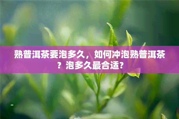 熟普洱茶要泡多久，如何冲泡熟普洱茶？泡多久最合适？