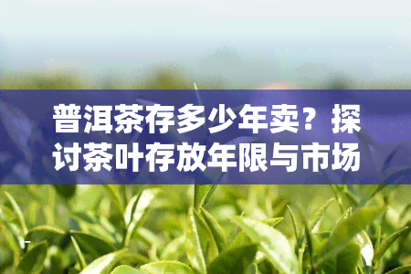 普洱茶存多少年卖？探讨茶叶存放年限与市场价值的关系