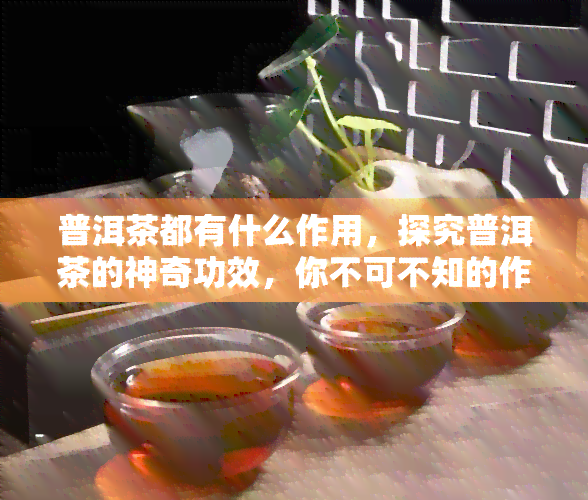 普洱茶都有什么作用，探究普洱茶的神奇功效，你不可不知的作用解析