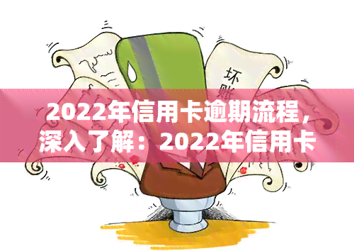 2022年信用卡逾期流程，深入了解：2022年信用卡逾期处理流程全解析