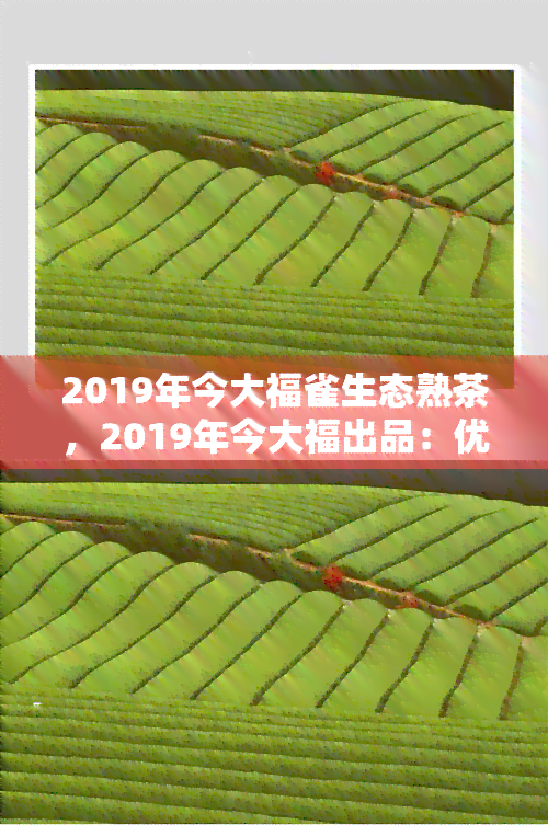 2019年今大福雀生态熟茶，2019年今大福出品：优质雀生态熟茶，让你品味大自然的馈赠