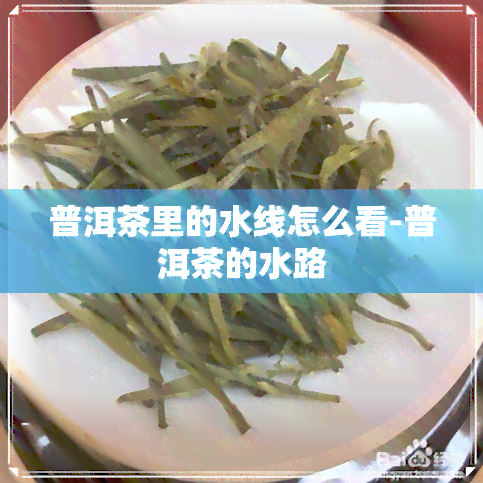 普洱茶里的水线怎么看-普洱茶的水路