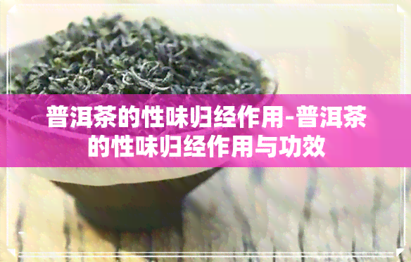 普洱茶的性味归经作用-普洱茶的性味归经作用与功效