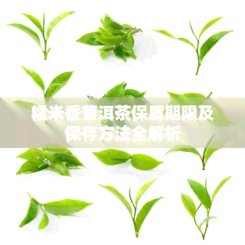 糯米香普洱茶保质期限及保存方法全解析