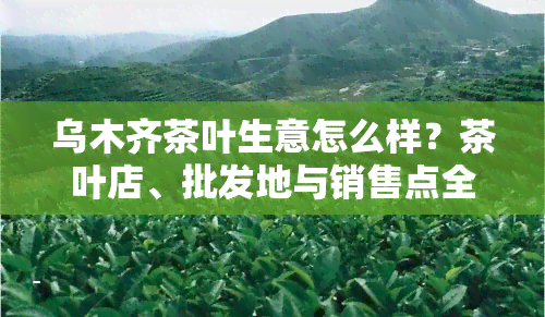 乌木齐茶叶生意怎么样？茶叶店、批发地与销售点全攻略！