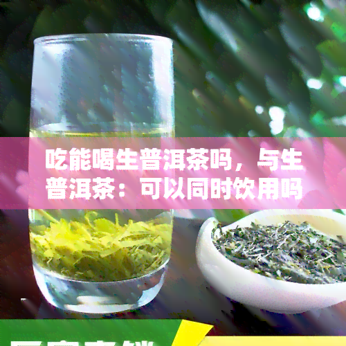 吃能喝生普洱茶吗，与生普洱茶：可以同时饮用吗？