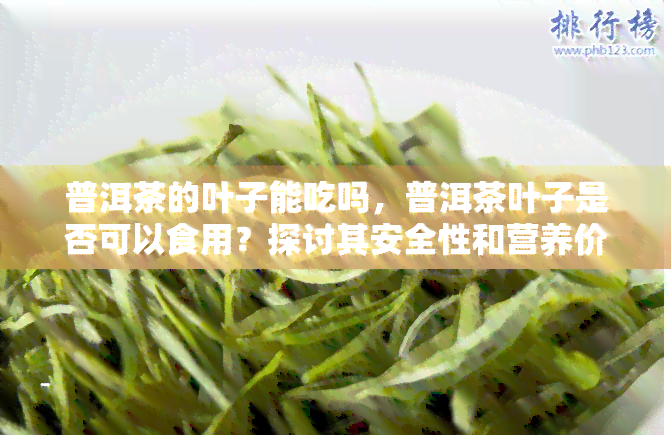 普洱茶的叶子能吃吗，普洱茶叶子是否可以食用？探讨其安全性和营养价值