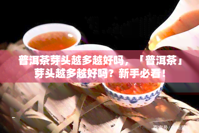 普洱茶芽头越多越好吗，「普洱茶」芽头越多越好吗？新手必看！