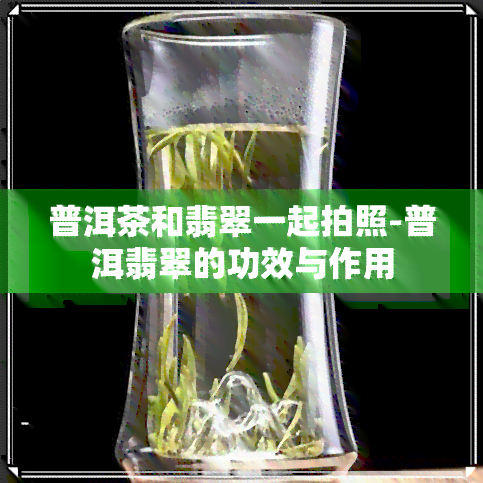 普洱茶和翡翠一起拍照-普洱翡翠的功效与作用