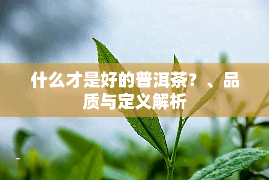 什么才是好的普洱茶？、品质与定义解析