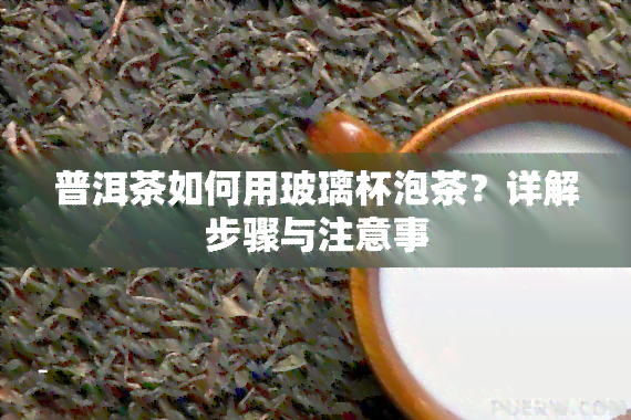 普洱茶如何用玻璃杯泡茶？详解步骤与注意事