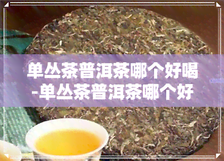 单丛茶普洱茶哪个好喝-单丛茶普洱茶哪个好喝一点