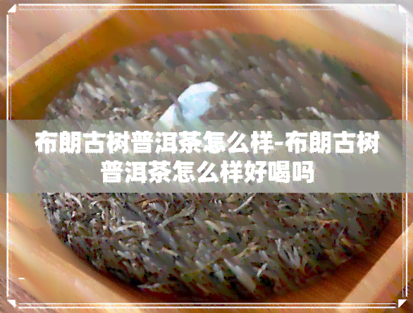 布朗古树普洱茶怎么样-布朗古树普洱茶怎么样好喝吗