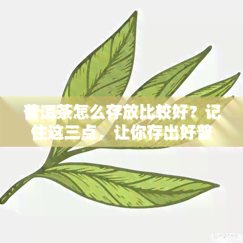 普洱茶怎么存放比较好？记住这三点，让你存出好普洱！