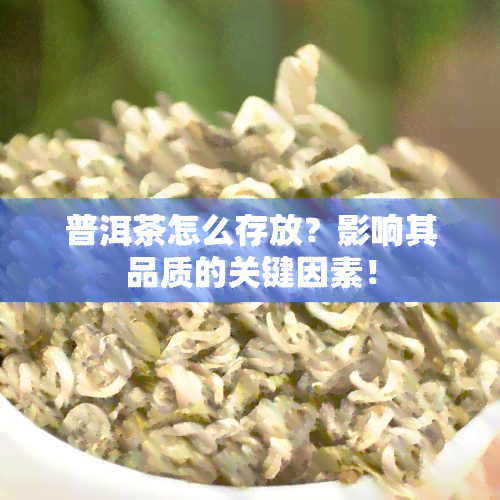 普洱茶怎么存放？影响其品质的关键因素！