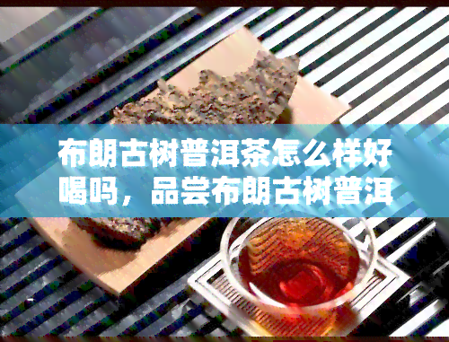 布朗古树普洱茶怎么样好喝吗，品尝布朗古树普洱茶：口感如何，值得一试吗？