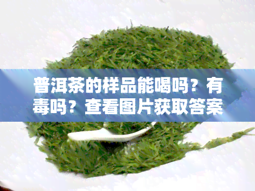 普洱茶的样品能喝吗？有吗？查看图片获取答案