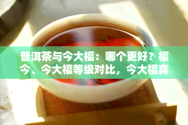 普洱茶与今大福：哪个更好？福今、今大福等级对比，今大福真伪争议，收藏价值探讨，离世