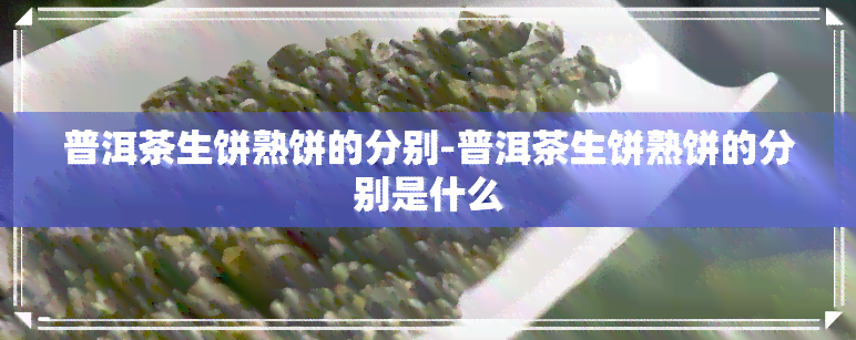 普洱茶生饼熟饼的分别-普洱茶生饼熟饼的分别是什么