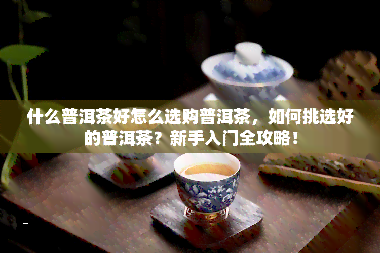 什么普洱茶好怎么选购普洱茶，如何挑选好的普洱茶？新手入门全攻略！