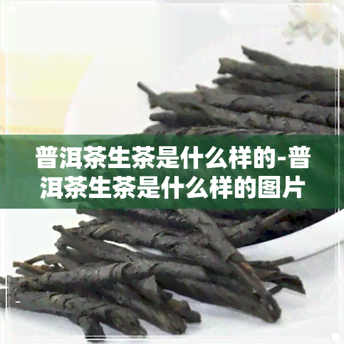 普洱茶生茶是什么样的-普洱茶生茶是什么样的图片