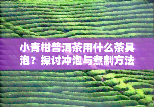 小青柑普洱茶用什么茶具泡？探讨冲泡与煮制方法