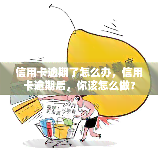 信用卡逾期了怎么办，信用卡逾期后，你该怎么做？