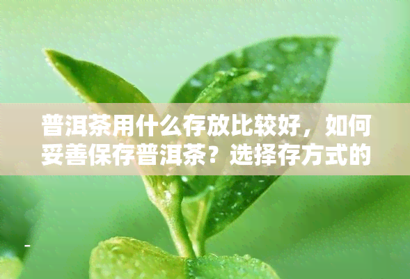 普洱茶用什么存放比较好，如何妥善保存普洱茶？选择存方式的建议