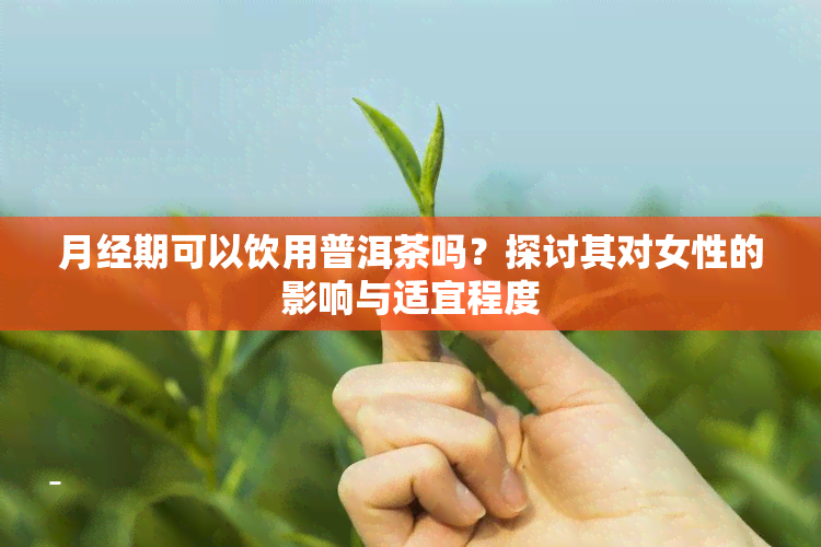 月经期可以饮用普洱茶吗？探讨其对女性的影响与适宜程度