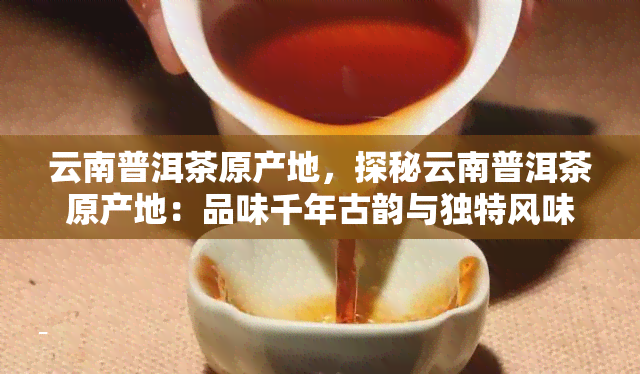 云南普洱茶原产地，探秘云南普洱茶原产地：品味千年古韵与独特风味