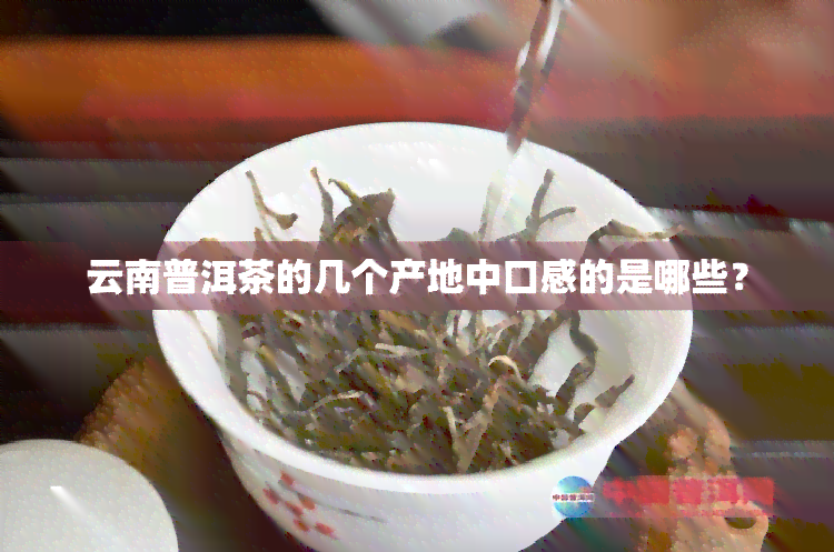 云南普洱茶的几个产地中口感的是哪些？