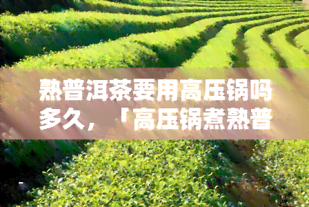 熟普洱茶要用高压锅吗多久，「高压锅煮熟普洱茶」：你需要知道的时间和步骤