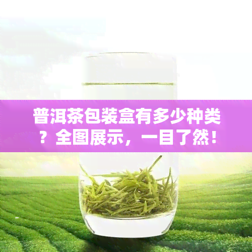 普洱茶包装盒有多少种类？全图展示，一目了然！